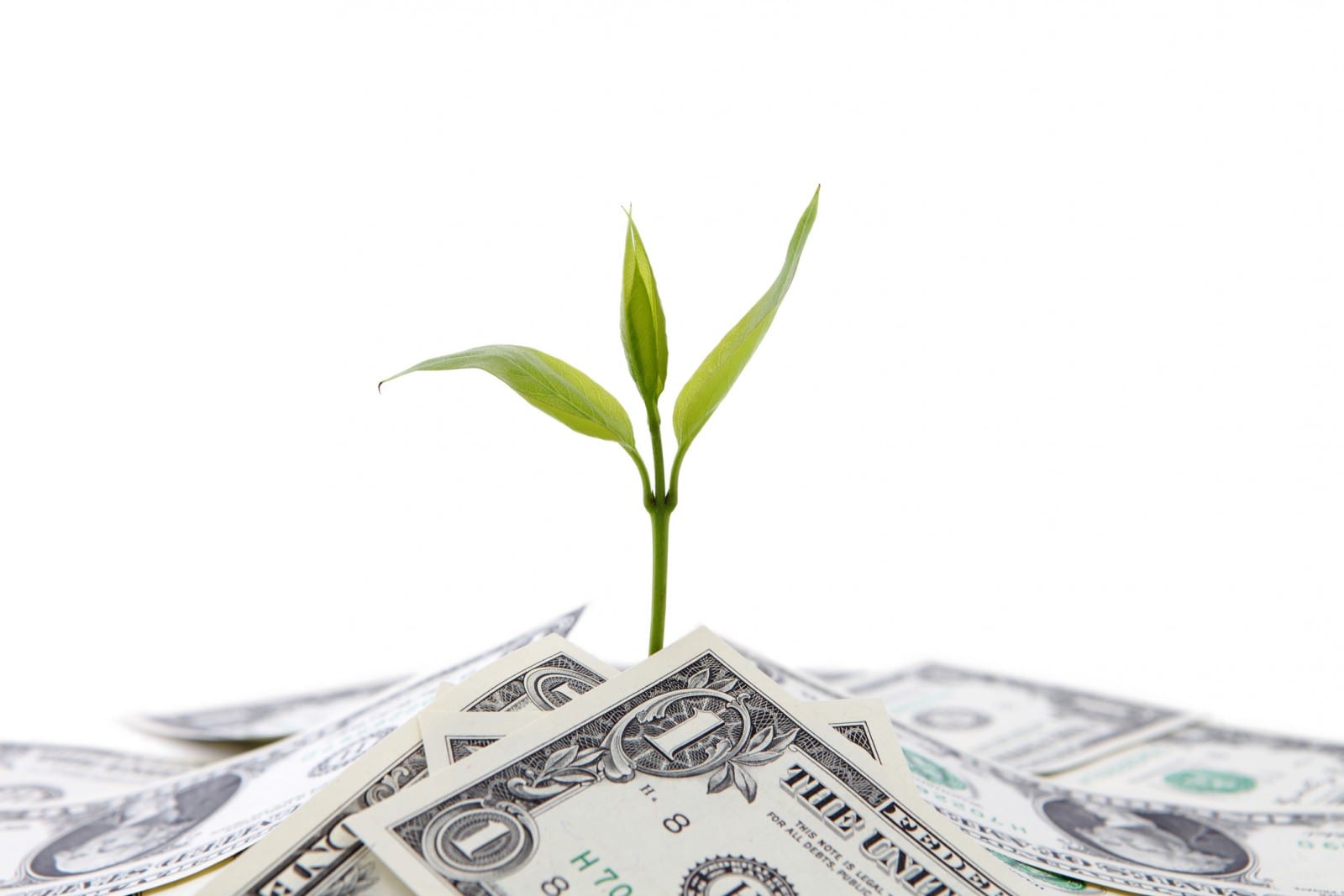 money blogging